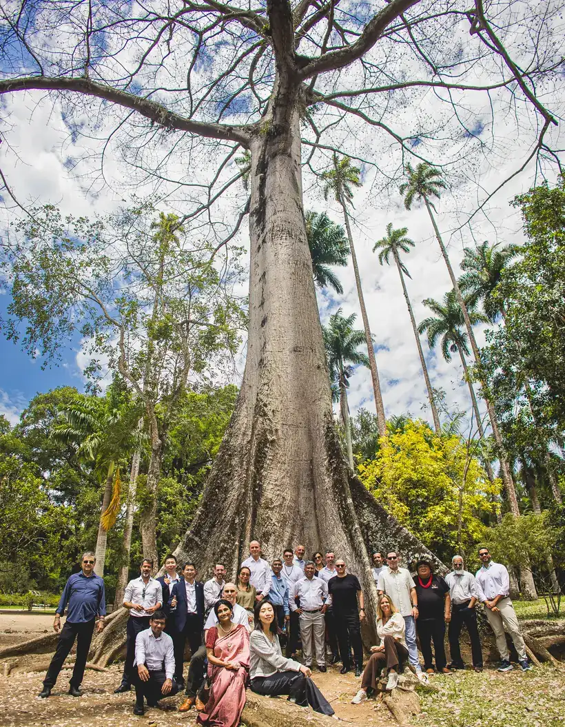 A group gathered beneath a giant tree in Brazil