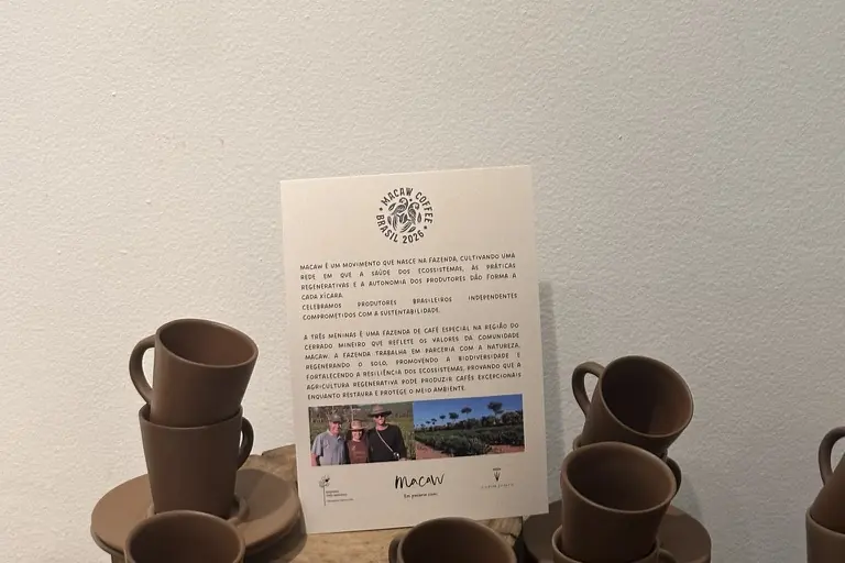 Ceramic cups at Capim Santo