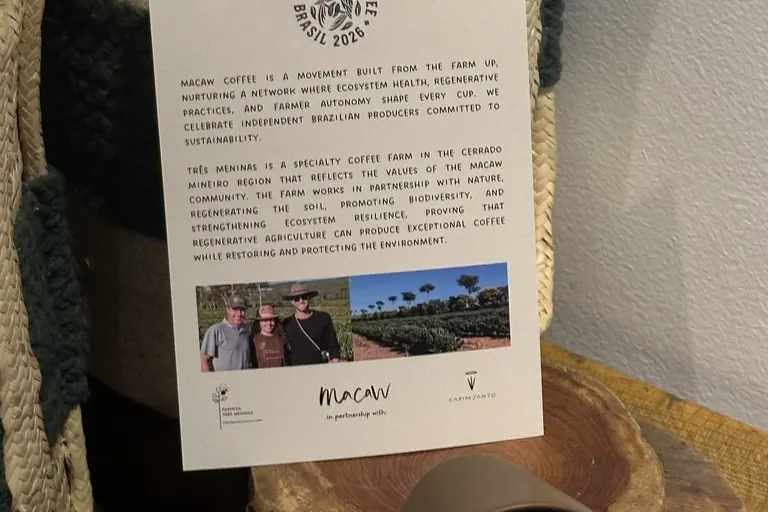 Macaw cards displayed with ceramics at Capim Santo