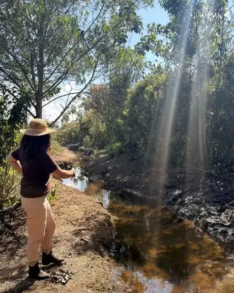 A natural spring inside the farm